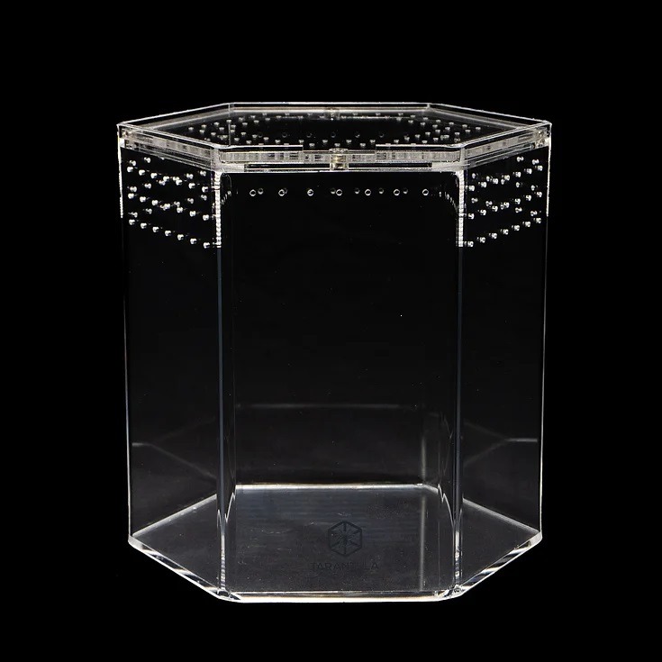 Tarantula Cribs - 8" Hex Crib 8"x 8"x 8"