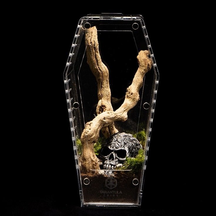 Tarantula Cribs - Coffin med 10'' Tall  10''x5''x5''