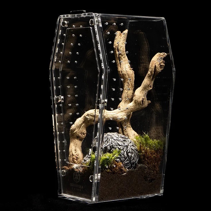 Tarantula Cribs - Coffin med 10'' Tall  10''x5''x5''