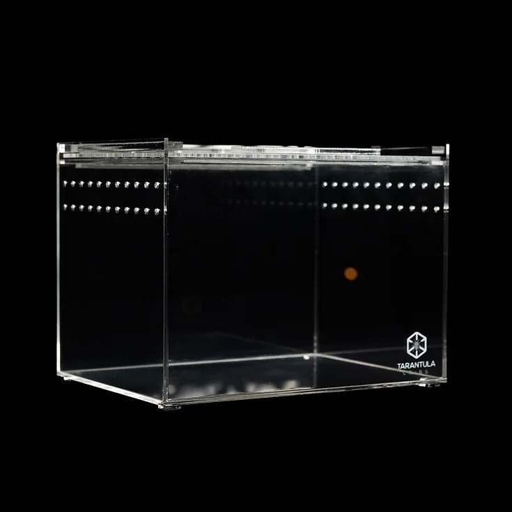 Tarantula Cribs - Medium Slider Crib- Clear Bottom 8''x6''x6''