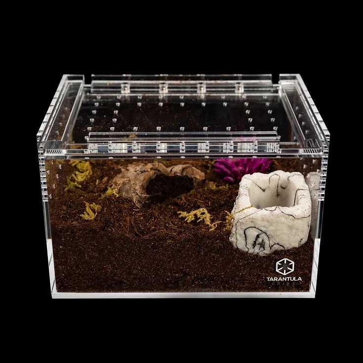 Tarantula Cribs - Small Slider Crib- Clear Bottom 6''x4''x4''