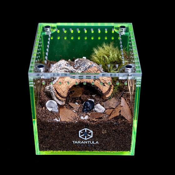Tarantula Cribs - 3"x3"x3" Cube Tarantula Collective Special