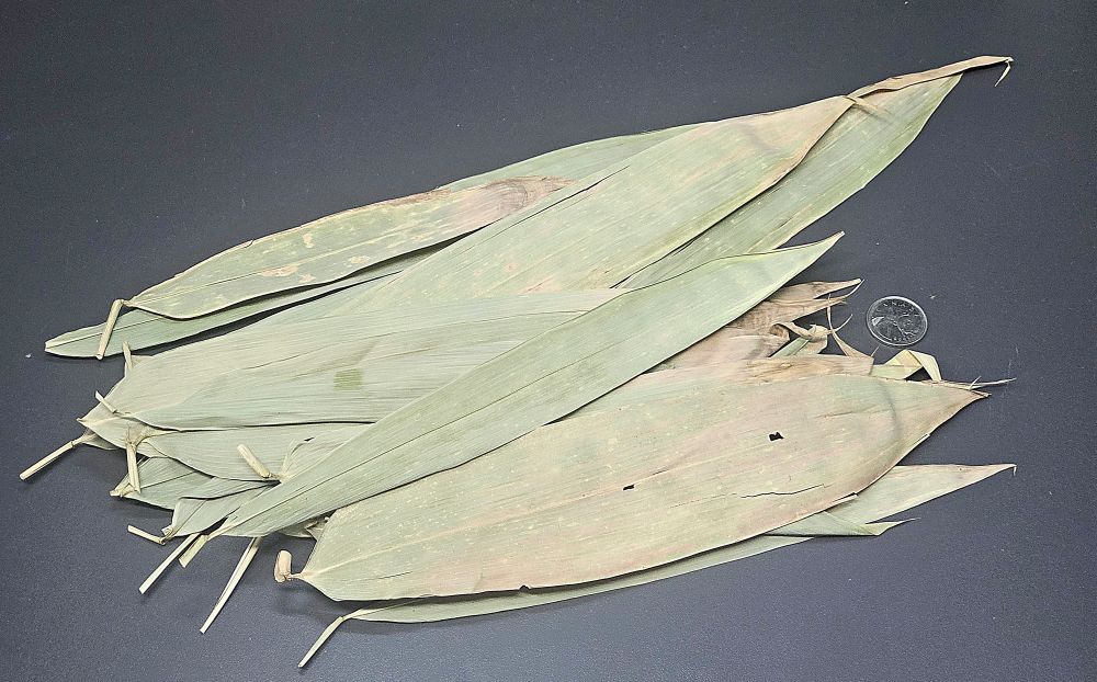 La Swamp Bioactive -  Bamboo Leaves 1.0 oz