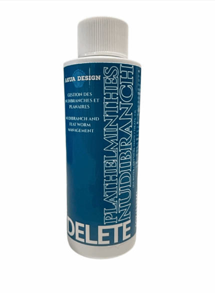 PLATHELMINTHES NUDIBRANCH - DELETE