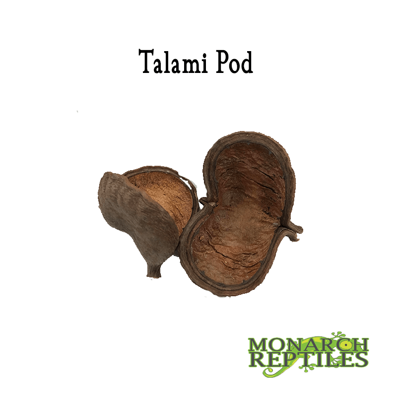 Talami Pods