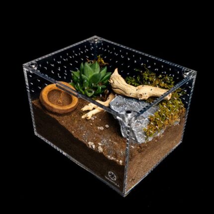 Tarantula Cribs - Medium Cuboid 9"x7"x6"