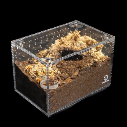 Tarantula Cribs - Small Cuboid 6"x4"x4"