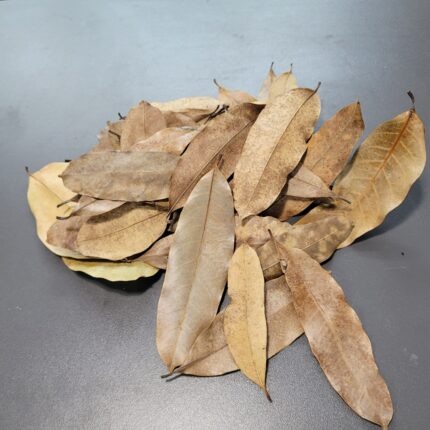 La Swamp Bioactive - Khaya Leaves 1.5oz