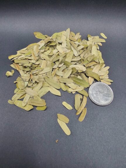 La Swamp Bioactive - Tamarind Leaves 1.0oz