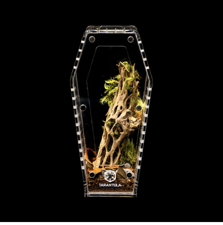 Tarantula Cribs - Mini Coffin