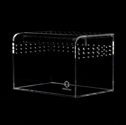 Tarantula Cribs - Terrestrial Curve - Clear